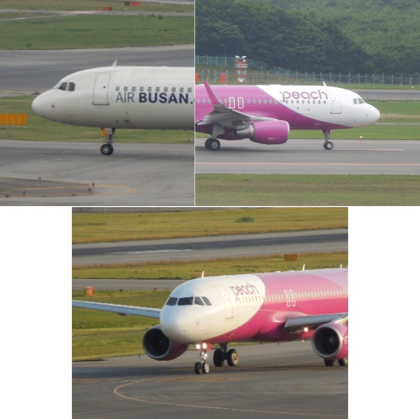 A320 Familyのノーズ画像