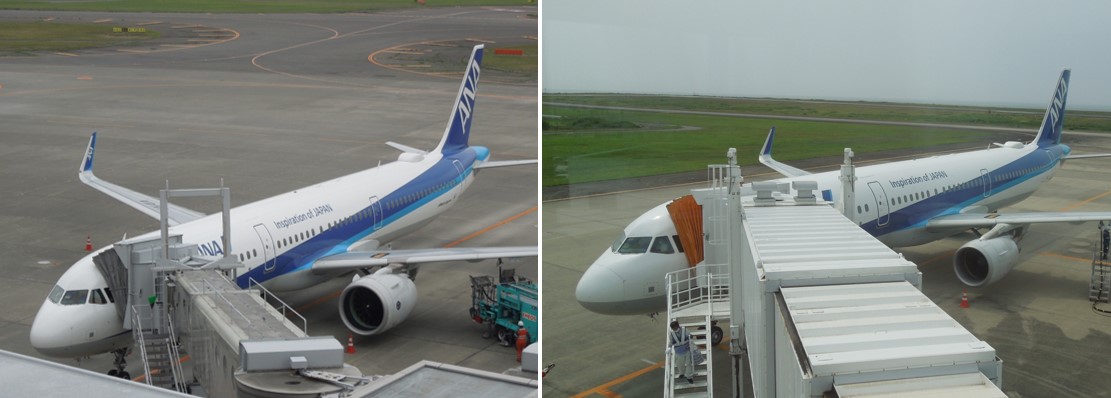 A321CEOとNEOのエンジンの大きさ比較画像