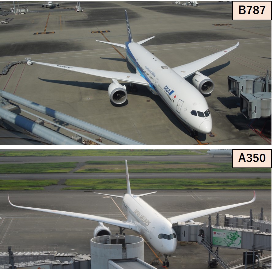 B787とA350の比較画像